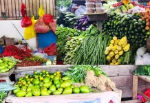 Kemendagri Dorong Koperasi Merah Putih Kubar Suplai Bahan Pangan MBG